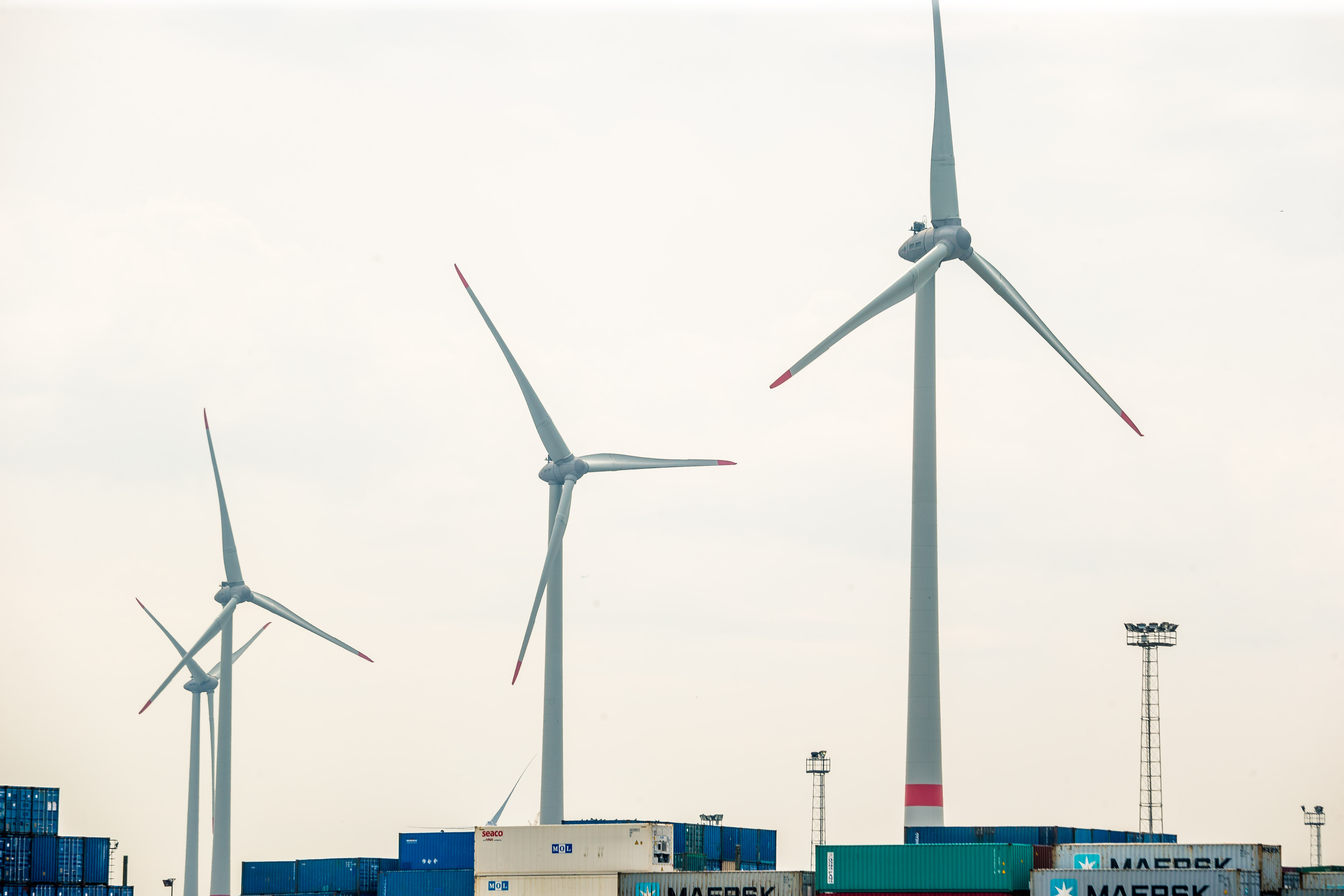 wf Dag Van De Wind Boottocht 36